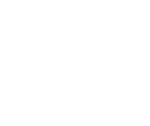 light logo